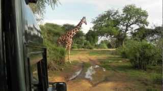 Kenya Safari - Samburu, Masai Mara and Diani Beach, Mobassa