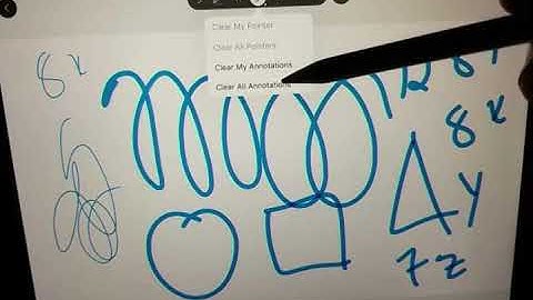 Pros and Cons to using Blackboard Collaborate and Webex on iPad