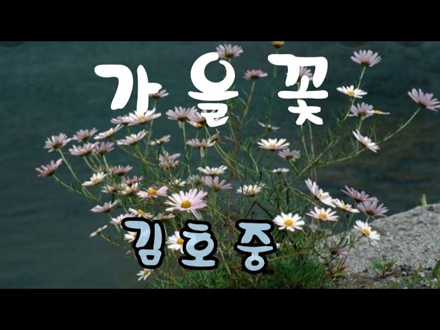 가을꽃//김호중 - Youtube