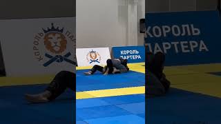 КОРОЛЬ ПАРТЕРА 24 (GI) до 70 кг СИНИЕ пояса 👊🔥 Wolf 🐺 в деле