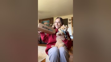 vixen’s first sponsorship from kitnipbox! 🥹🫶🏼