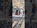 زیارت سخی کابل