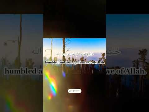 Meaningful Ayahs In The Holy Qur An Shorts