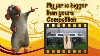 How To Make A Rat Trap Homemade Electric Mouse Trap Electric Rat Trap Water Mouse Trap Types