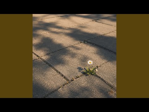 You Look Like Summer thumbnail
