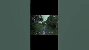 قرآن كريم بصوت جميل جدا ماشاءالله #قران_كريم #اكسبلور #اكسبلور #دويتو #دويتو #لايك #ياسر_الدوسري