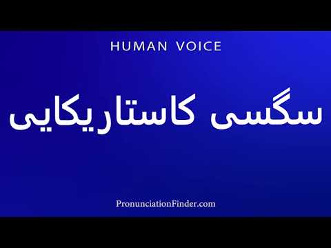 How To Pronounce Costa Rican Sega