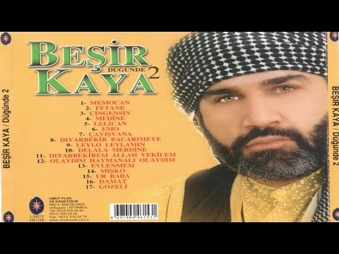 Kürtçe Oyun Havaları / Beşir Kaya - Diyarbekir Bacarımeye