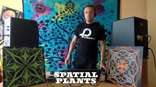 Spatial Plants Full Livestream 2020 @Resistência Mainfloor + Primal Bookings