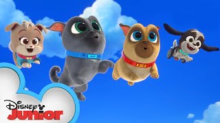 Cupcakes Birthday Puppy Dog Pals
