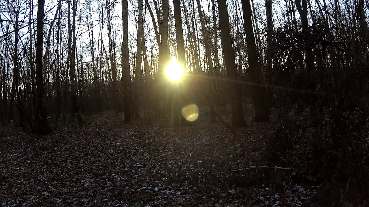 Проехал на велосипеде по маршруту проекта дублера Щелковского шоссе ...