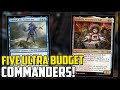 FIVE Ultra Budget Commanders You Can Build With Bulk!- Magic: The Gathering