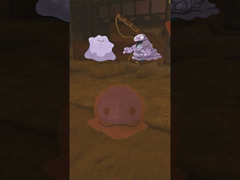 NEW SMUDGE PET IS KINDA POKEMON #fisch