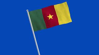 Cameroon Flag: Amazing 4K Animation!