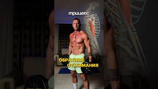 Трицепс дома без зала! Обратные отжимания от дивана с ногами на стуле — мощная прокачка рук после 35