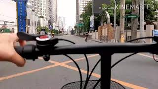Pasig to MOA Using Folding Bike (Part 1) with pasaway na MMDA