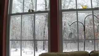 Smithville March 25 2013 930AM