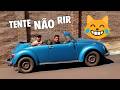 TENTE NÃO RIR ???? NÓS É POBRE MAS É FELIZ!