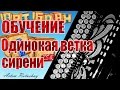 НА БАЯНЕ ОБУЧЕНИЕ Одинокая ветка сирени