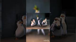 Пінгвіни з Мадагаскару