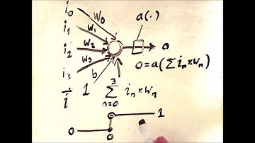 Perceptrons: The Building Blocks of Neural Networks