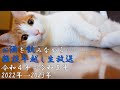 お酒を飲みながら……雑談年越し生放送(令和4年→5年/2022年→2023年)【白犀ラジオ】