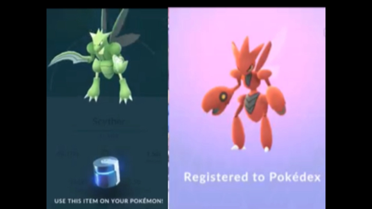 Scizor Evolution Using Metal Coat!! New Gen 2 Pokemon GO!! YouTube