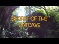 Secret of the Batcave (Sumatra part 2)