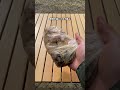 マイクが不調だ、、#防災革命#防災#防災食#湯煎#アイラップ