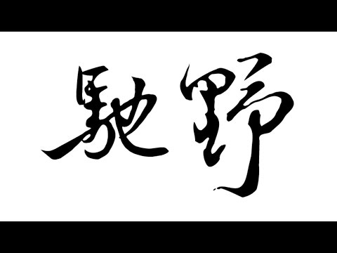 [2016.05.22] 馳野13屆社慶老人加油影片