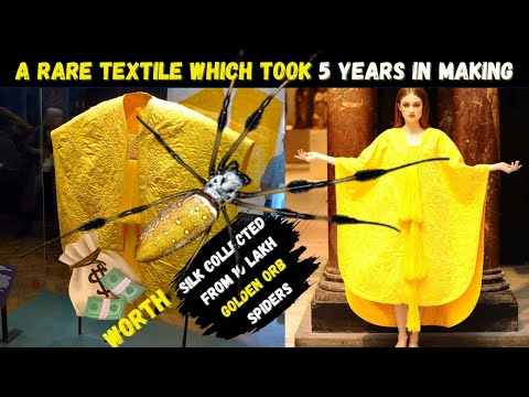 Golden Spider Silk | How Was It Made?| How much is golden spider silk worth?