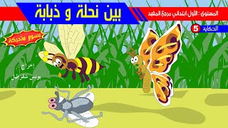 حكاية بين نحلة و ذبابة - رسوم متحركة