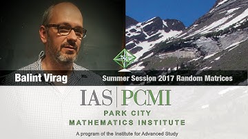 Balint Virag (3.2) Operator limits of random matrices, part 3.2