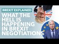 Last Minute Brexit Negotiations: With One Month Left Is a Deal Even Still Possible? - TLDR News