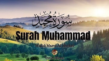 Surah Muhammad سورة محمد (TRANQUILITY) BEST SURAH MUHAMMAD | THIS WILL TOUCH YOUR HEART إن شاء الله