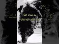بعد فقدان الثقه كل الحقائق قابلة للشك