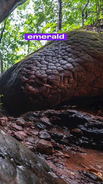 naka cave Thailand look of snake #viral #geography #youtubeshorts