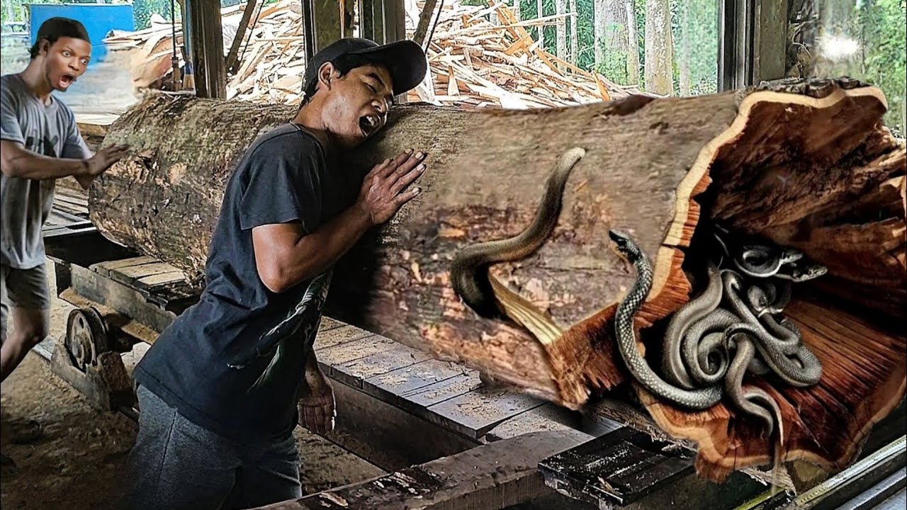unexpected-incident-while-sawing-old-teak-logs-at-the-sawmill-youtube