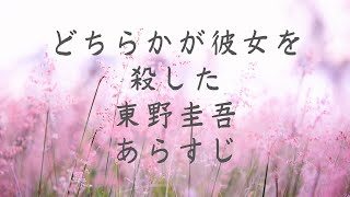 どちらかが彼女を殺した　東野圭吾　あらすじ