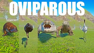 Oviparous Animals Speed Races in Planet Zoo included Crane, Dragon, Emu Crocodile, Platypus