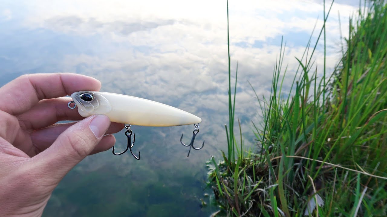 Catching OBESE Bass while Fishing BACKYARD Pond