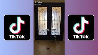 Jailyne Ojeda Tiktok Anne- Marie-To Be Young Feat Doja Cat