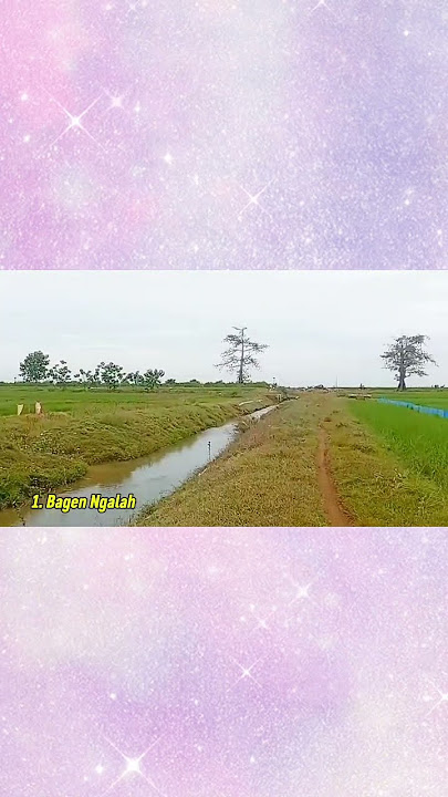 SPESIAL TARLING ORGAN JATAYU, KLIK VIDEO TERKAIT UNTUK FULL ALBUM #tarling #shorts