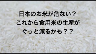 お米の生産量がどんどん減ってゆく？日本のお米が危ない！