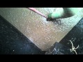 Cleaning out septic tank.mp4 Cleaning out septic tank.mp4