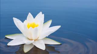 Rainbow Bridge Guided Meditation