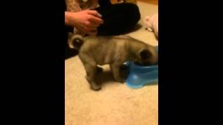 Kiki Eating For The First Time