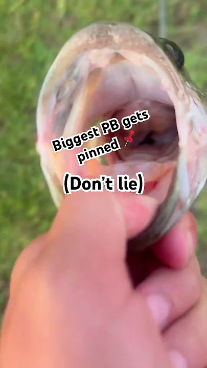 DONT LIE! 🥀 #fishing #bass #aura #viralshort