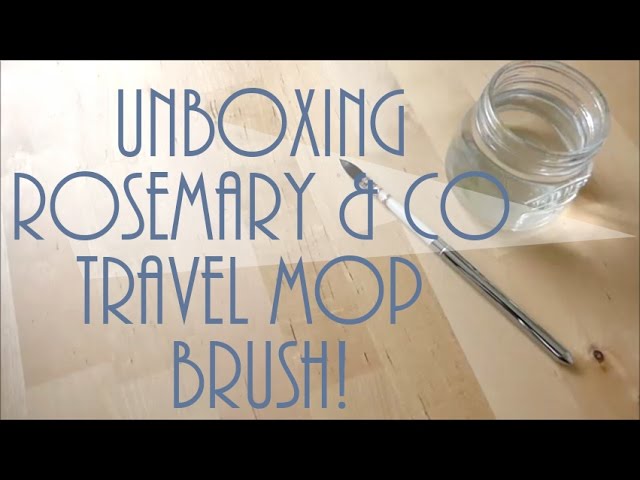 Comparing Mop and Travel Brushes
