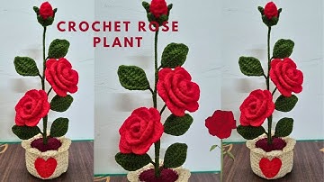 Crochet Rose with Pot Tutorial(part -1) | Realistic Crochet Flower for Beginners
